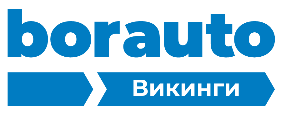 БОРАВТО Викинги,Липецк